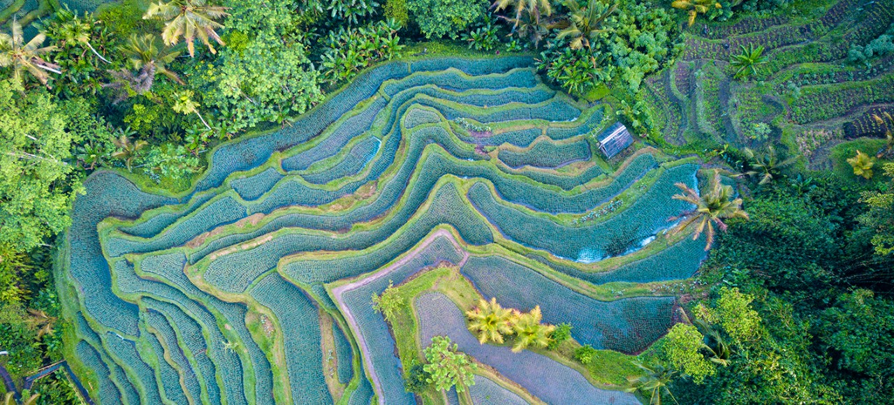Sustainable Asia Bonds: Emerging opportunity